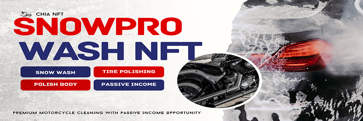SnowPro Wash Banner